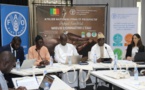 Connaissance et maitrise du liquide précieux : Le projet « Knowat » « renforce » les processus de gouvernance de l’eau au Sénégal