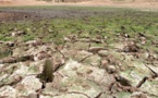Un déficit de financement de 100 millions de dollars entrave la lutte contre la faim dans la région du Sahel
