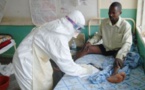 Afrique de l'Ouest: Ebola - L'OMS et les pays touchés présentent un plan de riposte de 100 millions de dollars