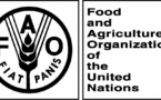 L’indice FAO des prix alimentaires atteint son niveau le plus bas depuis Janvier 2014