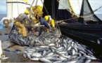 Pêche : Le CONIPAS dénonce l’opacité des sociétés de pêche mixtes avec l’Union Européenne
