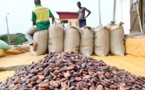 Produits du cacao :Les exportations de l'Union ont progressé de 11,3% en 2021