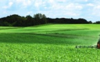 Des producteurs invités à adopter l'agricultrure biologique