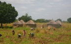 Afrique: Le monde rural, la hantise des Ape