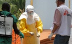Afrique de l'Ouest: Ebola - Les experts inquiets des conséquences économiques