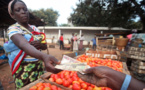 Afrique: L'Indice FAO des prix alimentaires à son plus bas niveau en quatre ans