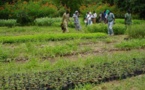 Bignona : des producteurs d'arachide réclament à la SUNEOR 1,6 milliard de francs