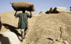 Retour des Chinois dans la filière arachide : Le pacte colonial de Papa Abdoulaye Seck