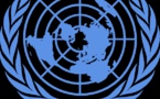 Afrique de l'Ouest: Un milliard de dollars nécessaires pour contrer Ebola