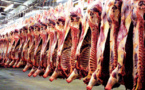 Elevage et pêche : Baisse de 3,4% des abattages contrôlés de viande au Sénégal à fin juillet 2014 Elevage et pêche : Baisse de 3,4% des abattages contrôlés de viande au Sénégal à fin juillet 2014