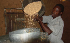 L’IFC facilite l’accès aux services de crédits des banques aux agriculteurs sénégalais