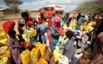 Afrique: Trafic de médicaments contrefaits- Le silence mortel des gouvernants africains