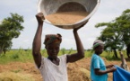 La FAO lance une campagne de soutien aux start-ups innovantes de l’agroalimentaire
