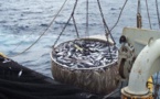 ''La lettre de politique sectorielle de la pêche doit être ajustée au PSE"