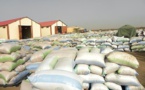 Macky Sall prône une régulation de la commercialisation du riz