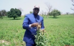 Podor: Macky Sall annonce un programme de désenclavement de 82 milliards FCFA