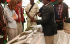 Savoirs et innovations, catalyseurs de la transformation de l’Afrique