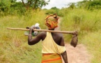 En Afrique, l’agriculture régénératrice peut représenter une valeur ajoutée brute de 70 milliards $ par an d’ici 2040