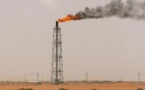 La chute des prix du pétrole pourrait "doper" l'économie mondiale (FMI)