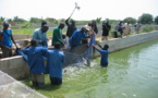 Afrique: Le développement rapide de l'aquaculture améliore la nutrition grâce aux micronutriments, selon la FAO