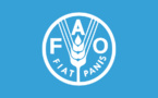 Afrique: La FAO rappelle que la nutrition est un élément incontournable du développement