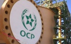 Maroc: L'apport considérable d'OCP dans la marche vers la souveraineté alimentaire