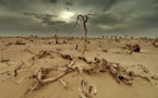 Les pays développés accusés de retarder l'accord sur le changement climatique