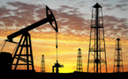Pétrole : l'Algérie demande à l'Opep d'enrayer la chute des cours Pétrole : l'Algérie demande à l'Opep d'enrayer la chute des cours