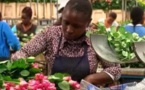 UE: les exportations agricoles de 5 pays africains de nouveau exonérées de droits de douane