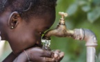 Sécurité alimentaire, eau, résilience de l’Afrique : Les gouverneurs saluent les efforts de la Banque africaine de développement
