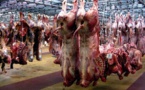 Elevage : Baisse de 1.097 tonnes des abattages contrôlés de viande à fin novembre 2014 au Sénégal
