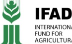 Le FIDA investit plus de 248 milliards de FCFA en 36 ans