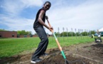 Emplois des jeunes: La rentabilité et la stabilité des revenus agricoles permettent la génération d’emplois pour les jeunes africains