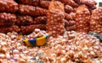Aly Ngouille Ndiaye, ministre de l’Agriculture : « Nous produisons suffisamment d’oignons mais nous avons un problème de stockage »