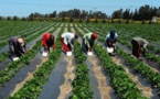 Emplois des jeunes: Taux d’activité élevé des jeunes dans trois zones agricoles du Sénégal, selon une étude