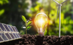 Transition énergétique propre : L’Afrique « est bien placé pour être le fer de lance »