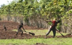 SENEGAL: Moustapha Sourang explique les axes majeurs de la nouvelle réforme foncière
