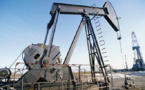 Du pétrole bon marché pour le changement