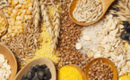 Céréales : Une hausse de la demande mondiale attendue en 2015