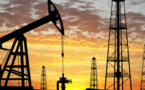 Pétrole Brent : Il est attendu une hausse de l’offre de pétrole des pays hors-OPEP Pétrole Brent : Il est attendu une hausse de l’offre de pétrole des pays hors-OPEP