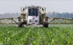 Afrique: Modernisation de l'agriculture africaine