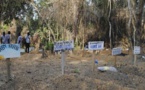 Ebola : plus de 10.000 morts, 60% des malades ont survécu