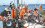 Pêche: 22 millions de dollars de la Banque Mondiale pour la  Mauritanie et la Guinée