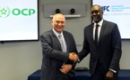 Financement du secteur agricole : L’Ifc et le Groupe Ocp lancent une nouvelle plateforme
