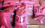 Sénégal : Un protocole d’accord sur la commercialisation du riz local paraphé