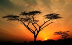L'Afrique qualifiée de terre d'opportunités