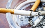 Nocivité des produits du tabac : Experts et journalistes africains appellent à la réduction des risques