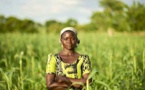 La sécurité alimentaire de l’Afrique subsaharienne passera par l’accès des femmes au foncier agricole (dossier)