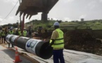 Sénégal: Luzerne - Cette culture fourragère qui menace l'approvisionnement en eau potable de Dakar