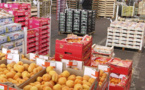 Tunisie : Evolutions contrastées des flux croisés du commerce extérieur au mois d’octobre 2023.